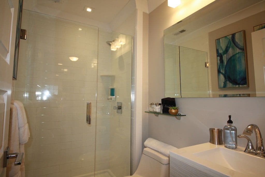 Downstairs Hall Bath - Sink, Shower, & A Toilet.